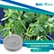 Fenugreek extract is a natural supplement that may offer a range of potential health benefits.